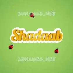 shadaab in Ladybugs style - 3D name wallpaper