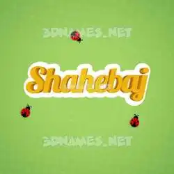 shahebaj in Ladybugs style - 3D name wallpaper