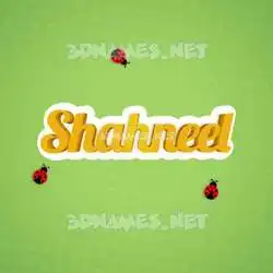 shahneel in Ladybugs style - 3D name wallpaper