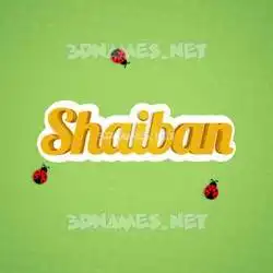 shaiban in Ladybugs style - 3D name wallpaper