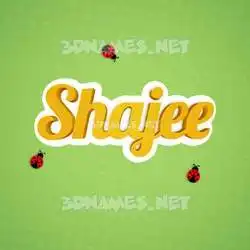 shajee in Ladybugs style - 3D name wallpaper