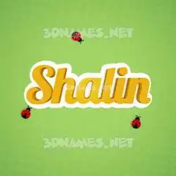 shalin in Ladybugs style - 3D name wallpaper