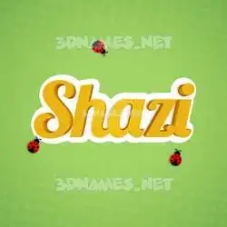 shazi in Ladybugs style - 3D name wallpaper