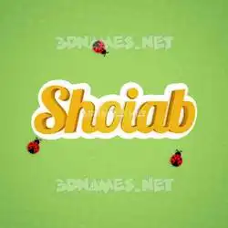 shoiab in Ladybugs style - 3D name wallpaper