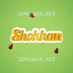 shokhan in Ladybugs style - 3D name wallpaper
