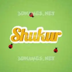 shukur in Ladybugs style - 3D name wallpaper