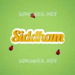 siddham in Ladybugs style - 3D name wallpaper
