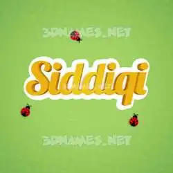 siddiqi in Ladybugs style - 3D name wallpaper
