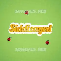 siddizayed in Ladybugs style - 3D name wallpaper