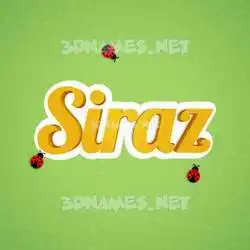 siraz in Ladybugs style - 3D name wallpaper