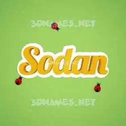 sodan in Ladybugs style - 3D name wallpaper
