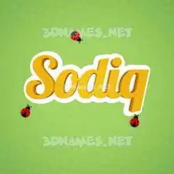 sodiq in Ladybugs style - 3D name wallpaper