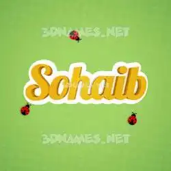 sohaib in Ladybugs style - 3D name wallpaper
