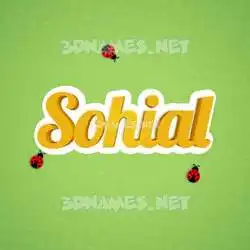 sohial in Ladybugs style - 3D name wallpaper