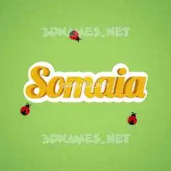somaia in Ladybugs style - 3D name wallpaper