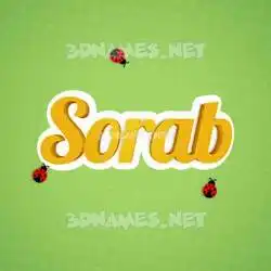 sorab in Ladybugs style - 3D name wallpaper