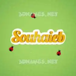 souhaieb in Ladybugs style - 3D name wallpaper