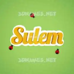 sulem in Ladybugs style - 3D name wallpaper