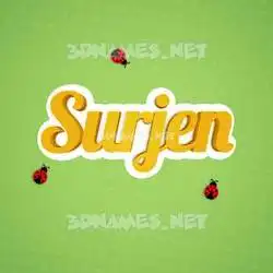 surjen in Ladybugs style - 3D name wallpaper