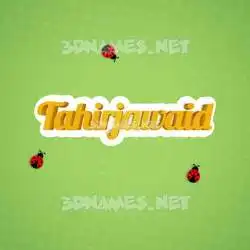 tahirjawaid in Ladybugs style - 3D name wallpaper