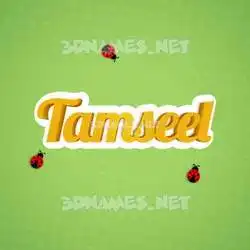 tamseel in Ladybugs style - 3D name wallpaper