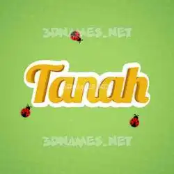 tanah in Ladybugs style - 3D name wallpaper