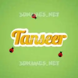 tanseer in Ladybugs style - 3D name wallpaper