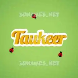 taukeer in Ladybugs style - 3D name wallpaper