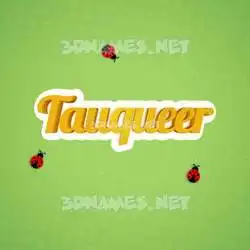 tauqueer in Ladybugs style - 3D name wallpaper