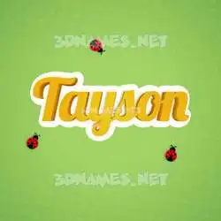 tayson in Ladybugs style - 3D name wallpaper