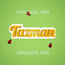 tazman in Ladybugs style - 3D name wallpaper