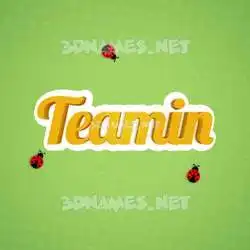 teamin in Ladybugs style - 3D name wallpaper