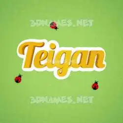 teigan in Ladybugs style - 3D name wallpaper