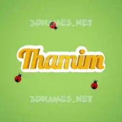 thamim in Ladybugs style - 3D name wallpaper