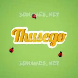 thusego in Ladybugs style - 3D name wallpaper