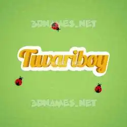 tiwariboy in Ladybugs style - 3D name wallpaper