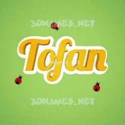 tofan in Ladybugs style - 3D name wallpaper