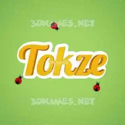 tokze in Ladybugs style - 3D name wallpaper