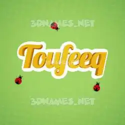 toufeeq in Ladybugs style - 3D name wallpaper