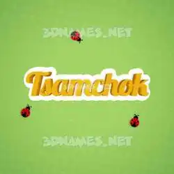 tsamchok in Ladybugs style - 3D name wallpaper