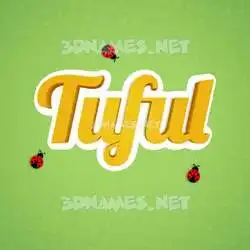 tuful in Ladybugs style - 3D name wallpaper