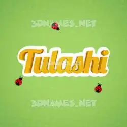 tulashi in Ladybugs style - 3D name wallpaper