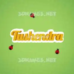 tushendra in Ladybugs style - 3D name wallpaper