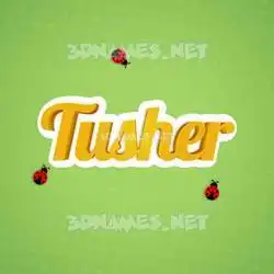 tusher in Ladybugs style - 3D name wallpaper