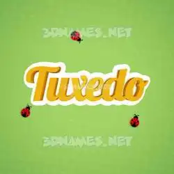 tuxedo in Ladybugs style - 3D name wallpaper