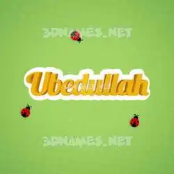ubedullah in Ladybugs style - 3D name wallpaper