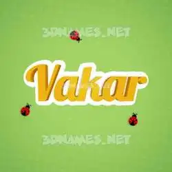 vakar in Ladybugs style - 3D name wallpaper