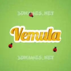 vemula in Ladybugs style - 3D name wallpaper
