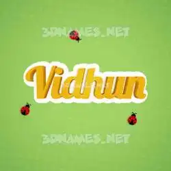vidhun in Ladybugs style - 3D name wallpaper