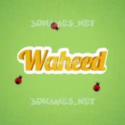 waheed in Ladybugs style - 3D name wallpaper